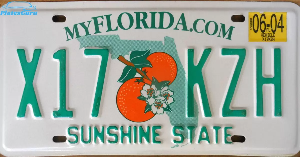 How Much Is A New License Plate In Florida